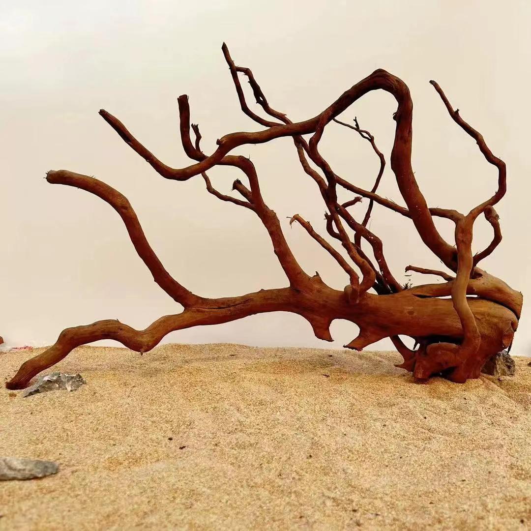 spider wood root 