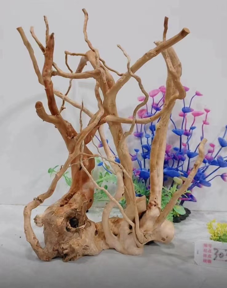 spider wood root for aquascaping and reptile 