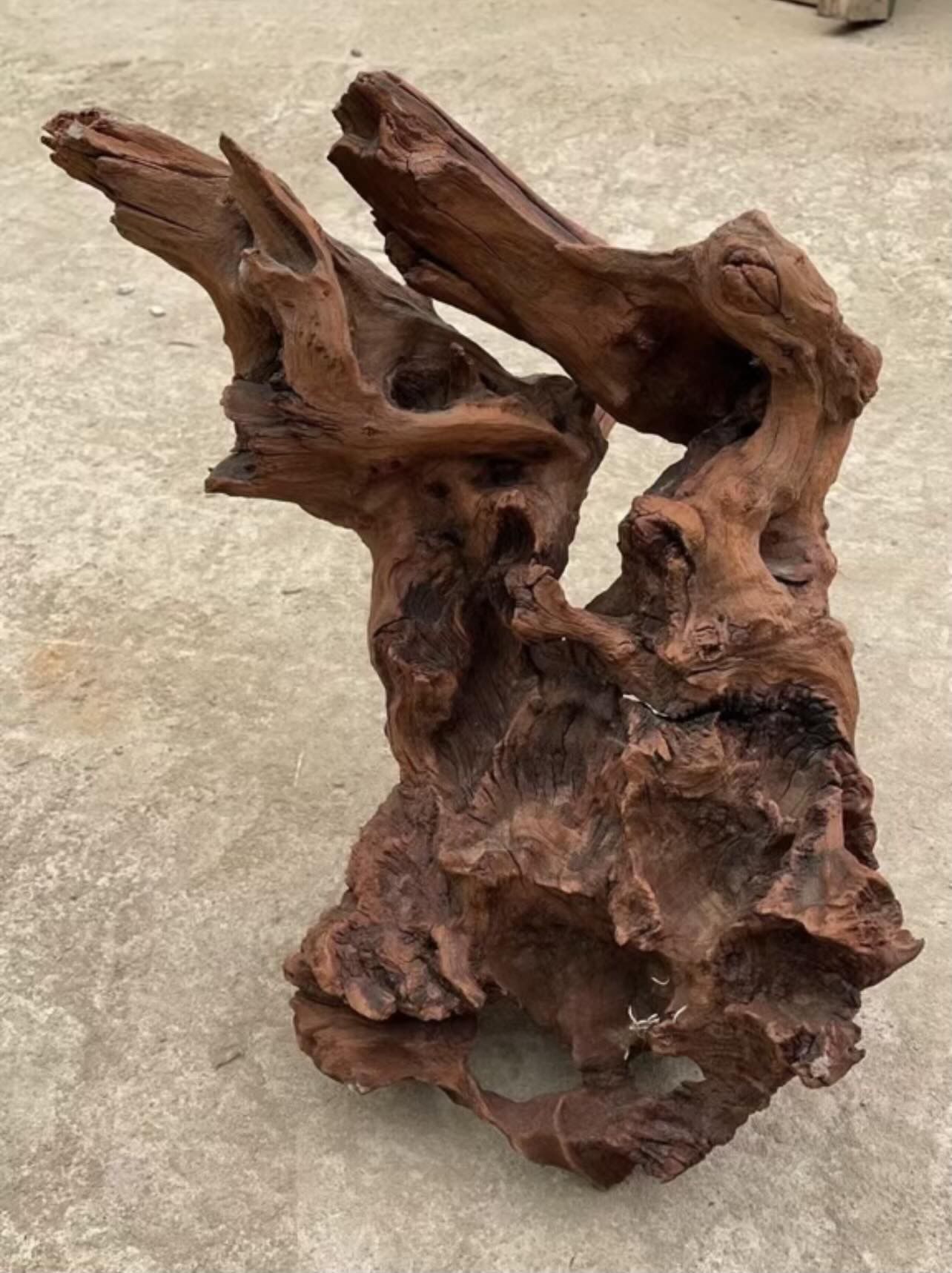 stand driftwood for aquascaping and reptile 