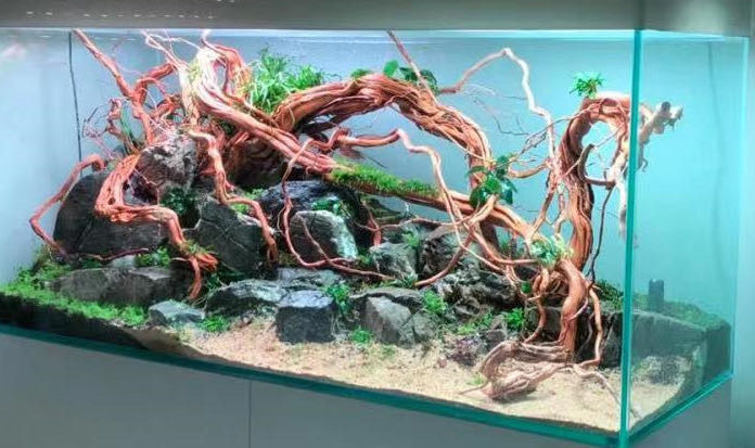 wood rattan for aquascaping and reptile 