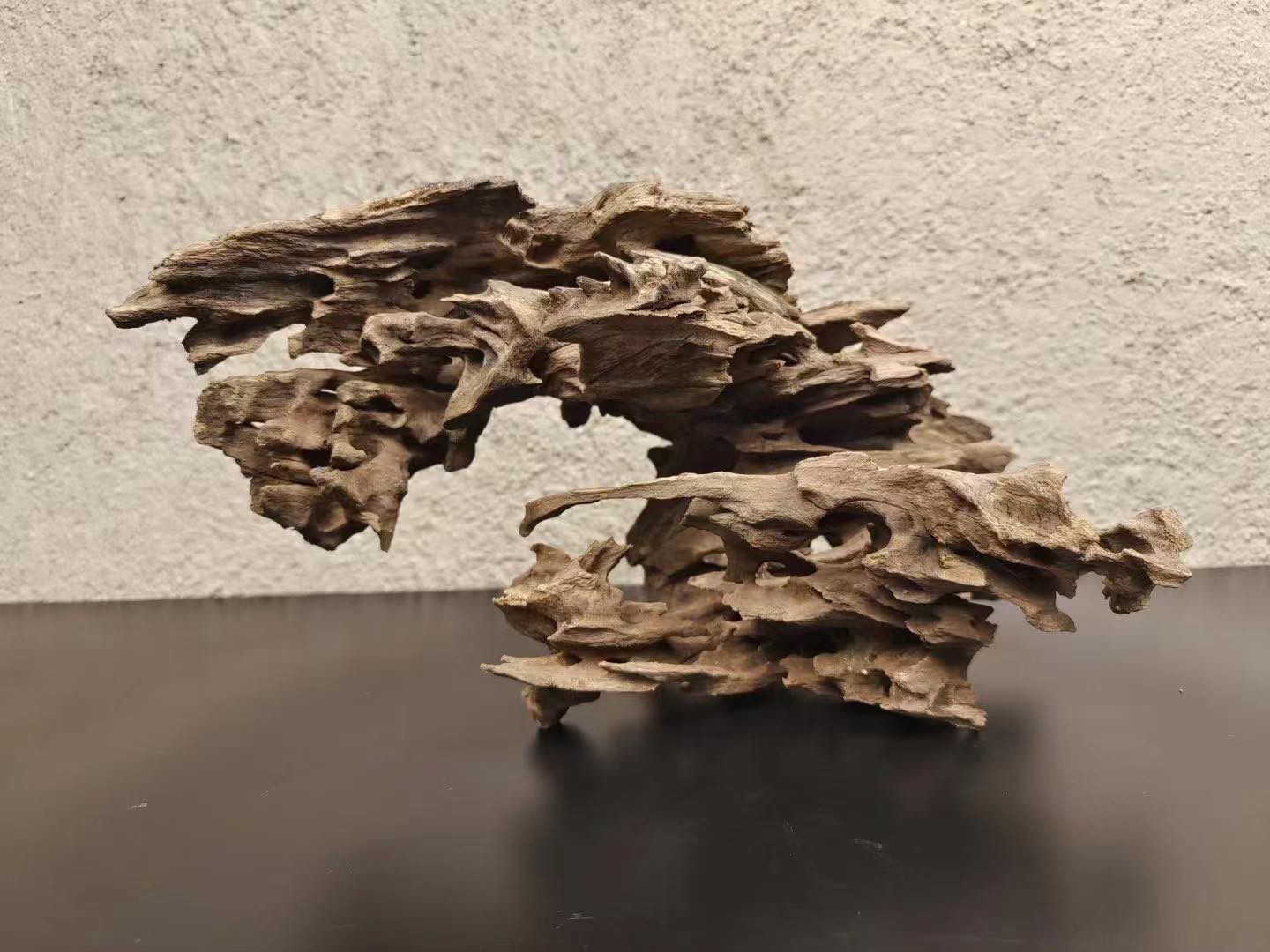 shrimp wood for aquascaping 
