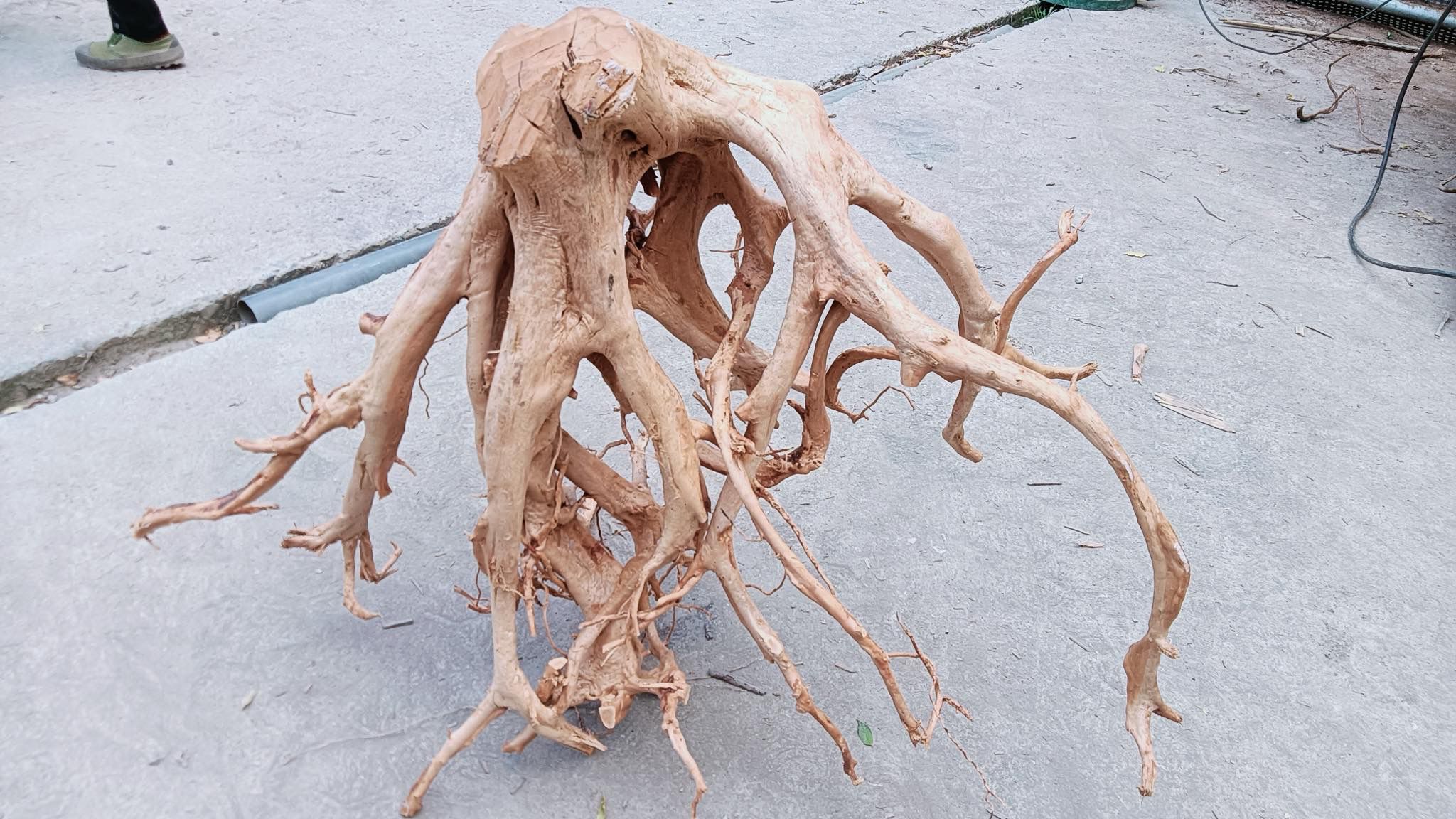 wood stump for aquascaping and reptile 
