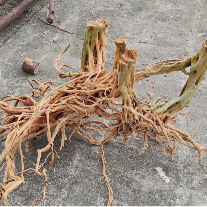 wood stump for aquascaping and reptile 