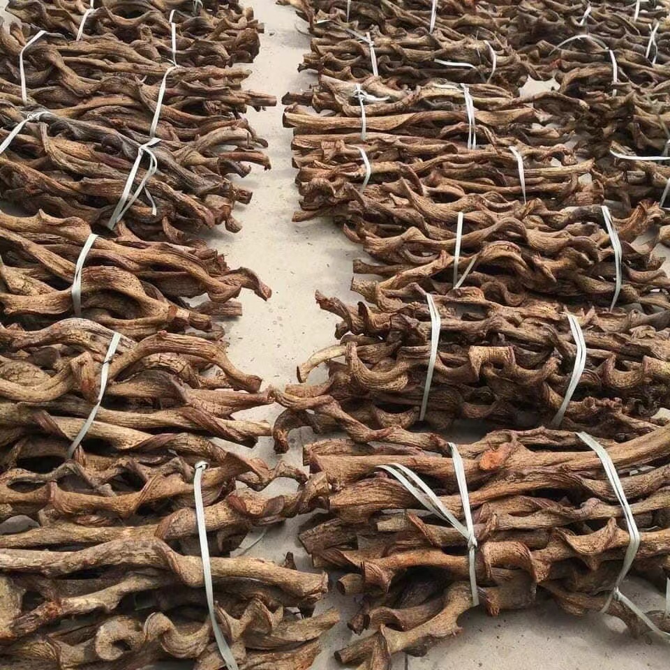 jungle wood for reptile