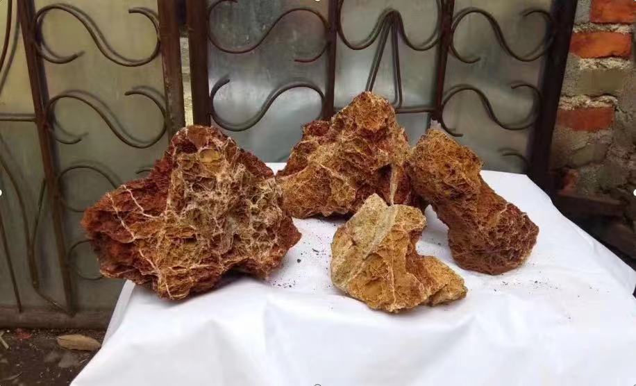 maple-leaf rock for aquascaping and aquarium 