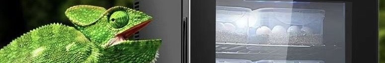 banner2